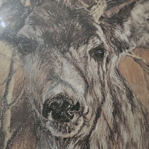 Deer Portrait Original Wood Framed Print Signed Nature Country Wall Decor - Picture 3 of 10